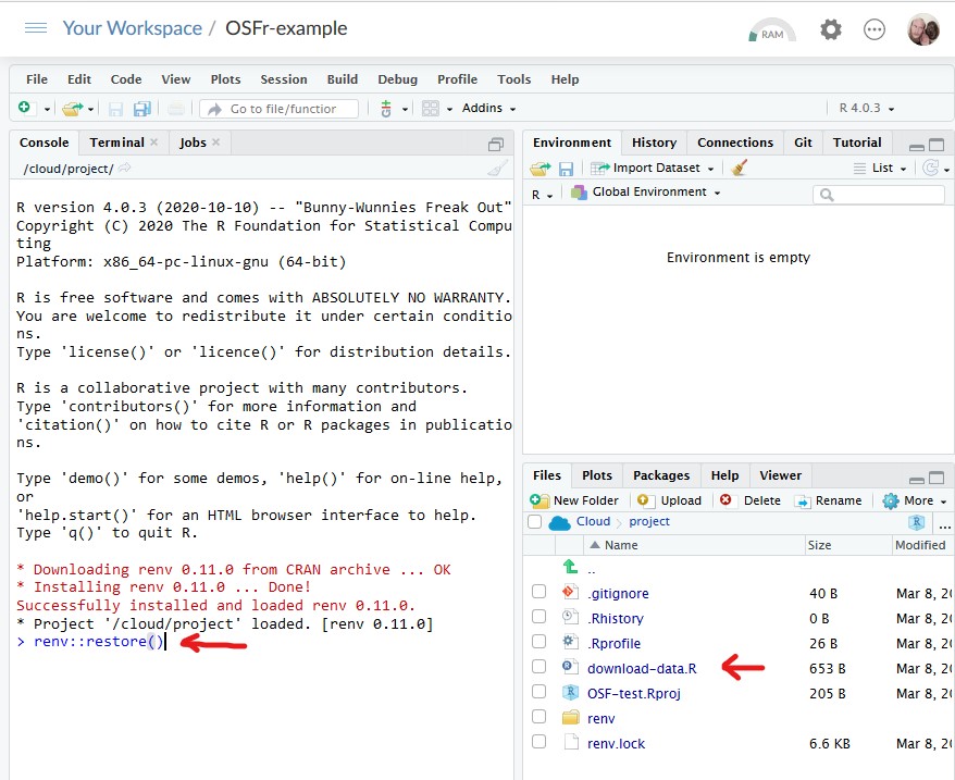 RStudio Cloud renv::restore() screenshot